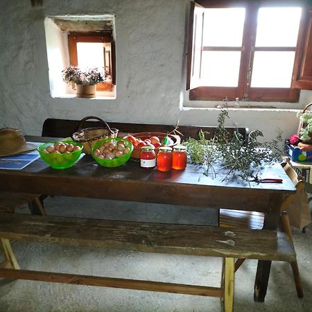 Can Cargol Amer Dış mekan fotoğraf