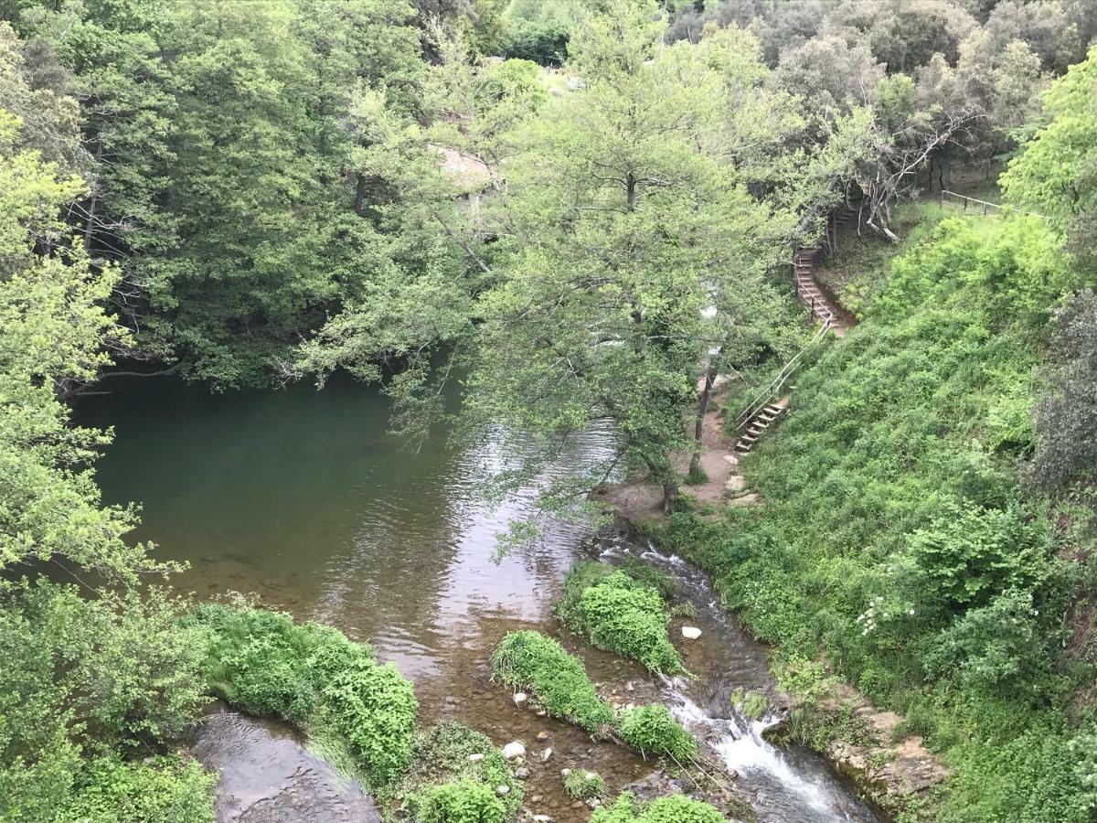 Can Cargol Amer Dış mekan fotoğraf